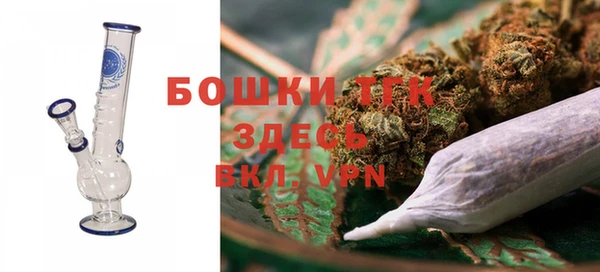 тгк Аркадак