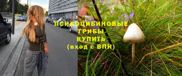 круглые Арсеньев