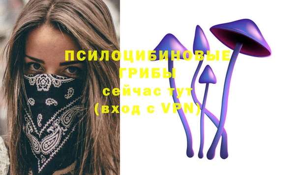 тгк Аркадак