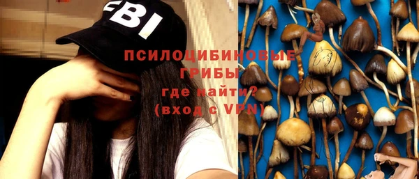 тгк Аркадак